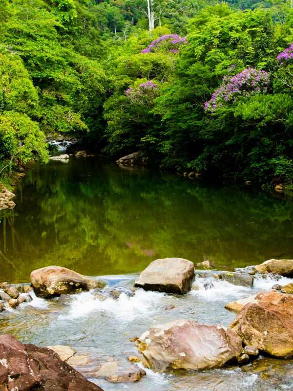 Piscina natural da Cachoeira do Perequê em Peruíbe.