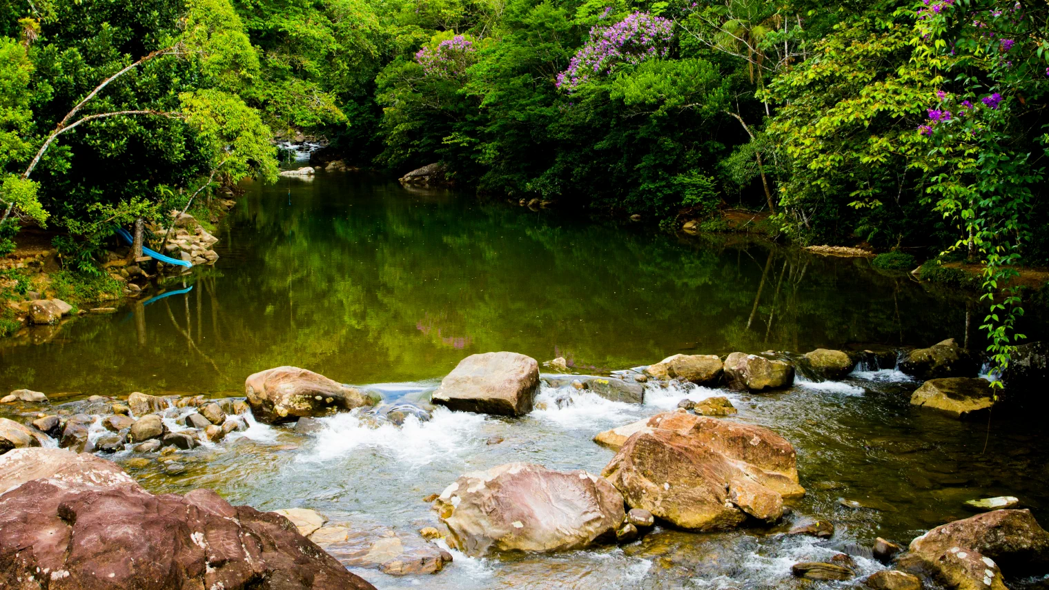 Cachoeira do Perequê em Peruíbe, com seu espelho d'água cercado por árvores e muita natureza.